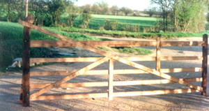 Curved and Heeled Gate